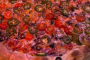 Las Vegas Secret Food and History Tour