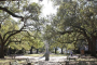 Charleston Secret Food Tour Adventure