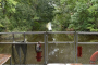 Louisiana Bayou Pontoon Boat Adventure Tour