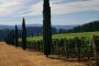 Willamette Valley Wine Tour