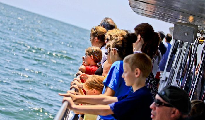atlantic city cruises dolphin watch