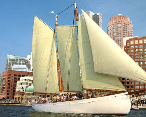 Boston Harbor Schooner Sailing