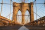 Brooklyn Bridge and DUMBO Tour