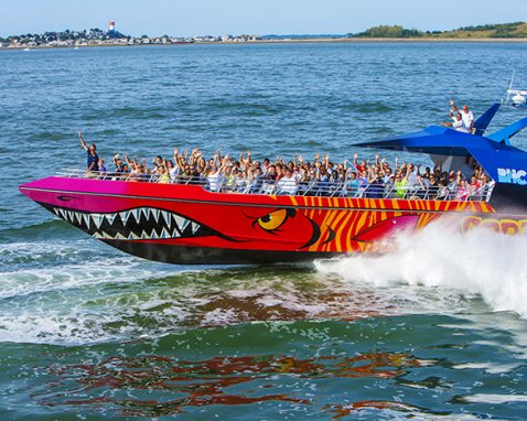Codzilla Speedboat Ride