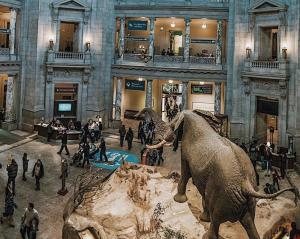 National Museum of Natural History Tour