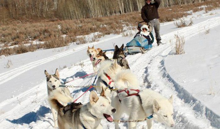 sledding park city park city sledding tour xperience days sledding park city park city sledding tour xperience days