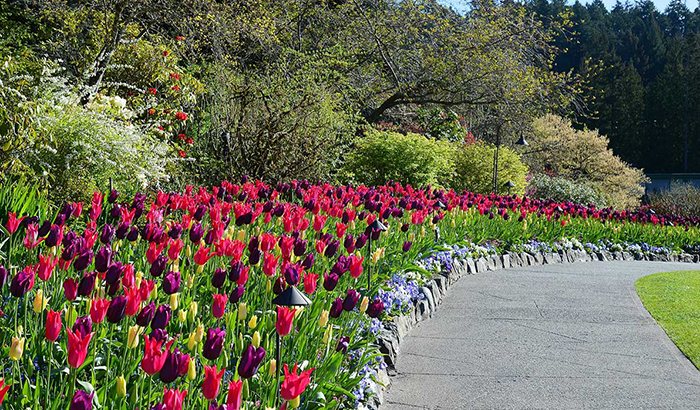 Butchart Gardens to close for two weeks - Victoria Times Colonist