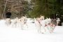 Hilltown Winter Dog Sled Tour