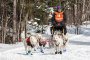 Hilltown Winter Dog Sled Tour