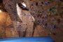Los Angeles Indoor Rock Climbing