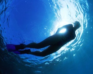La Jolla Kayaking & Snorkeling Adventure