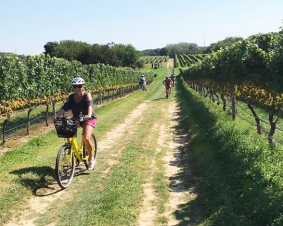 Long Island Vineyard Bike Tour Long Island Vineyard Bike Tour