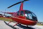 Detroit Helicopter Flight Tour