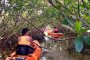 Key West Mangrove Maze Tour