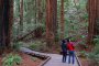 Muir Woods and Sonoma Winery Tour