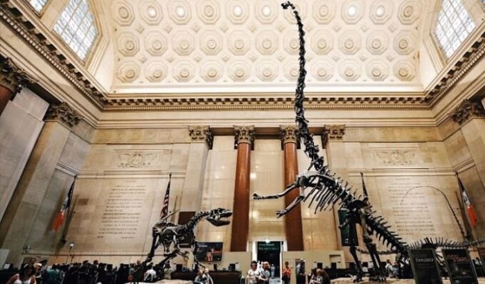 American Museum of Natural History Guided Tour