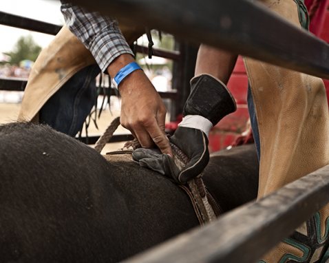 Bull Riding School