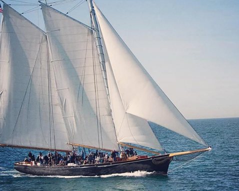 San Diego Schooner Whale Watching