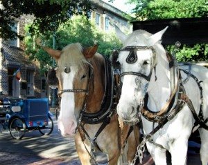 Scenic Cruise To Historic Savannah