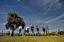 Santa Barbara Segway Tour