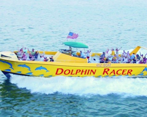 Speedboat Dolphin Adventure