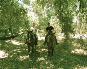 Fine Wine Horseback Ride in Temecula