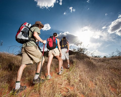 New England Full Day Guided Hiking Trip