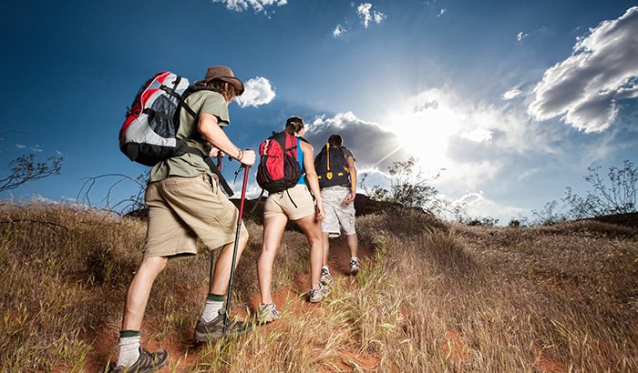 guided hiking and camping trips