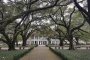 Whitney Plantation Tour in New Orleans