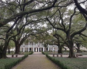Whitney Plantation Tour in New Orleans