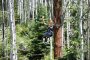 Canopy Tour Zip Line Colorado