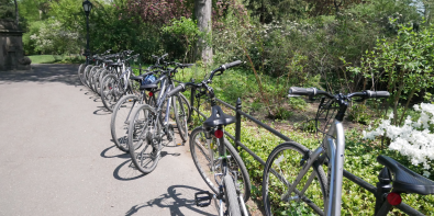 Central Park Bike Tour Staff Review