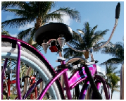 Miami Bike Tour