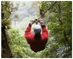 Zipline Tour