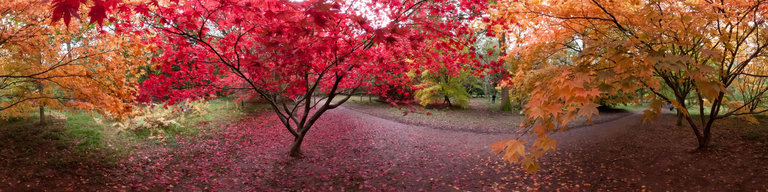 Robert-Bilsland-Autumn-pano1