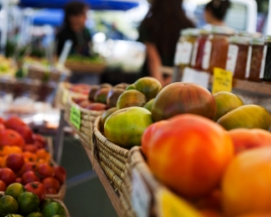 Farmers-Market-Tour