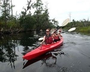 kayaking_-_marshgrass4_300x240