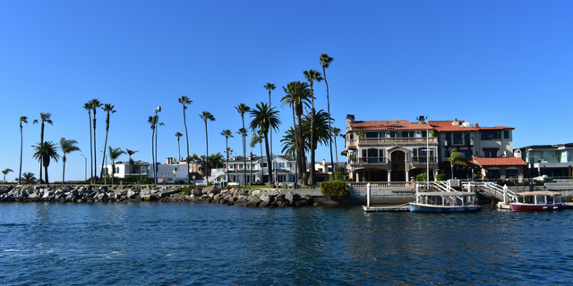 newport-whale-watching-experience