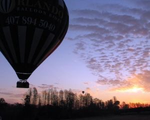 orlando_balloons_5_300x240