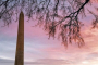 National Mall History and Walking Tour