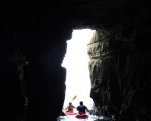 La Jolla Kayaking & Snorkeling Adventure